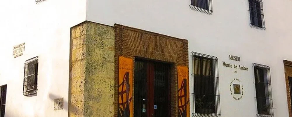 zona-colonial-en-santo-domingo-museo-mundo-ambar-1024x734.jpg